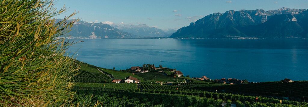 WBCSD Annual Meeting – Executive Dinner